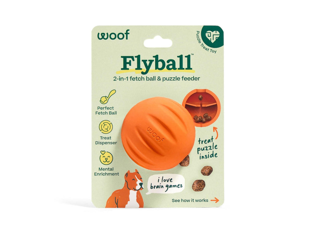 Flyball – Ruff Guides